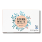 Light Rose # 1-2 Stayve® caja | ampolla stayve | stayve | ampolla