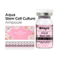Aqua Stem Cell Culture Stayve®.  X8ml | 1 ampolla stayve | ampolla | stayve